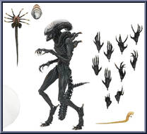 Scorched Xenomorph from Alien - Alien: Romulus - Ultimate Collection manufactured by Neca [Loose]