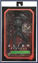 Scorched Xenomorph from Alien - Alien: Romulus - Ultimate Collection manufactured by Neca [Front]