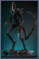 Scorched Xenomorph from Aliens - Alien: Romulus manufactured by Hot Toys [Loose]