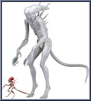 Alien Covenant Neomorph from Aliens - Basic Series manufactured by Neca [Loose]