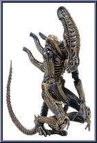 Xenomorph Warrior Action Figure