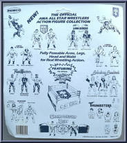 Gagne's Raiders from AWA - Series 2 manufactured by Remco [Back]