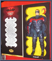 Robin from Batman & Robin - 12" Scale manufactured by Kenner [Front]