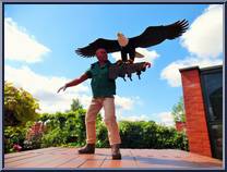 Eagle Ranger (Falconer) (Green Shirt) Action Figure