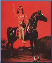 Horse: Pinto (Indian) Action Figure
