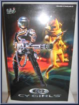 Destiny Action Figure