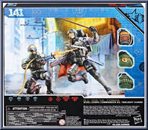 Steel Corps Commander vs. Twilight Guard from G.I. Joe - Classified - Basic Series manufactured by Hasbro [Back]