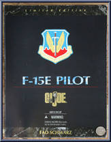F-15E Pilot Action Figure