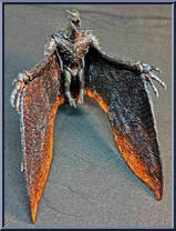 Rodan from Godzilla - King of the Monsters manufactured by Neca [Loose]