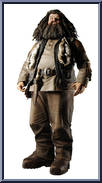 Hagrid from Harry Potter and the Order of the Phoenix - 10" Figures manufactured by Neca [Loose]
