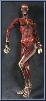 Julia Action Figure