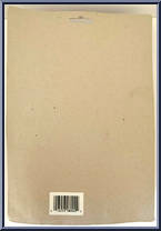 Insect Man (Purple / Yellow Helmet) from Insect Man - Basic Series manufactured by Unknown [Back]