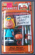 Sally Brown (Mini Pumpkin, Welcome Sign) Action Figure