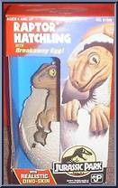 Raptor Hatchling