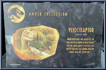 Velociraptor (Green) from Jurassic Park - Amber Collection - Dinos manufactured by Mattel [Back]