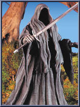 Witch King Ringwraith Action Figure