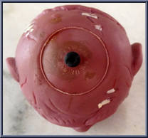 Bash Brain from Madballs - Series 1 manufactured by AmToy [Loose]