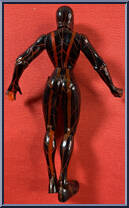 Venom (Earth X) from Marvel - Exclusives manufactured by Toy Biz [Loose]
