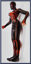 Venom (Earth X) from Marvel - Exclusives manufactured by Toy Biz [Loose]