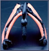 Pteranodon from Monster in My Pocket - Series 6 manufactured by Matchbox [Loose]