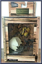Roc Chick from Ray Harryhausen - Chess Set 7 manufactured by X-Plus [Front]