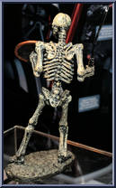 Skeleton Warrior from Ray Harryhausen - Chess Set 1 manufactured by X-Plus [Loose]