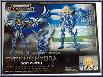 Cygnus Hyoga (God Cloth) (10th Anniversary Edition) from Saint Seiya Myth Cloth - Basic Series manufactured by Bandai [Back]