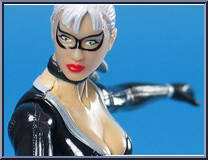 Black Cat (Leaping Cougar Attack) from Spider-Man 3 - Movie - Basic Series manufactured by Hasbro [Loose]