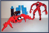Carnage Spider