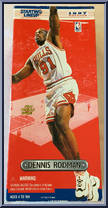 Dennis Rodman Action Figure