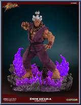Shin Akuma (Ultimate EX) Action Figure