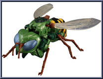 Waspeeter (Transformers Fes) Action Figure