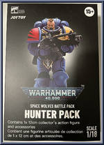 Brother Wulfgar (Hunter Pack) from Warhammer 40,000 - Space Wolves manufactured by JoyToy [Front]