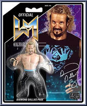 Diamond Dallas Page from Wrestling Megastars - Deluxe manufactured by Chella Toys [Front]
