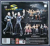 Hardy Boys from WWE Classic Superstars - Exclusives manufactured by Jakks Pacific [Back]