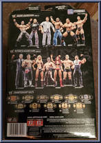 Matt Hardy from WWE Deluxe Aggression - Series 10 manufactured by Jakks Pacific [Back]