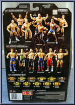 Randy Orton from WWE Deluxe Aggression - Series  4 manufactured by Jakks Pacific [Back]
