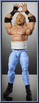 Diamond Dallas Page Action Figure