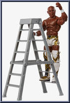Shelton Benjamin Action Figure