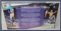 Team Xtreme from WWE Elite Collection - Box Sets manufactured by Mattel [Back]