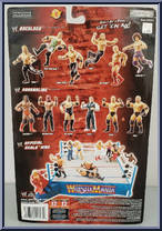 Rob Van Dam from WWE Pay Per View - Series 13 - Backlash manufactured by Jakks Pacific [Back]