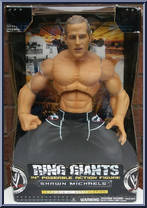 Shawn Michaels Action Figure