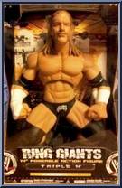 Triple H Action Figure