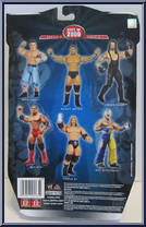 Batista from WWE Ruthless Aggression - Best of 2009 manufactured by Jakks Pacific [Back]