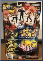Brock Lesnar from WWE Ruthless Aggression - Series  1 manufactured by Jakks Pacific [Back]