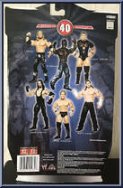 Matt Hardy from WWE Ruthless Aggression - Series 40 manufactured by Jakks Pacific [Back]