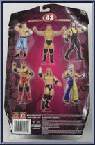 Rey Mysterio from WWE Ruthless Aggression - Series 43 manufactured by Jakks Pacific [Back]