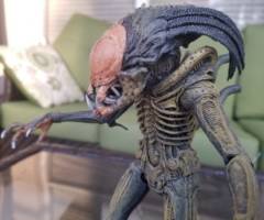 Predalien (concept art inspired) (Alien vs Predator) Custom Action Figure