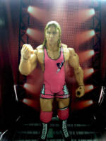 Owen Hart Jakks Classic (King Of The Ring 1994 Attire) (Wrestling) Custom Action Figure