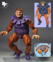 Toad (Mortimer Toynbee) (Marvel Legends) Custom Action Figure